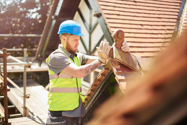 Best Roof Gutter Cleaning  in Walker Valley, NY